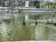 -舜耕山庄四时万和自助餐厅