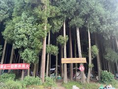 -武陵山森林公园