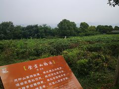 -南京市江宁方山