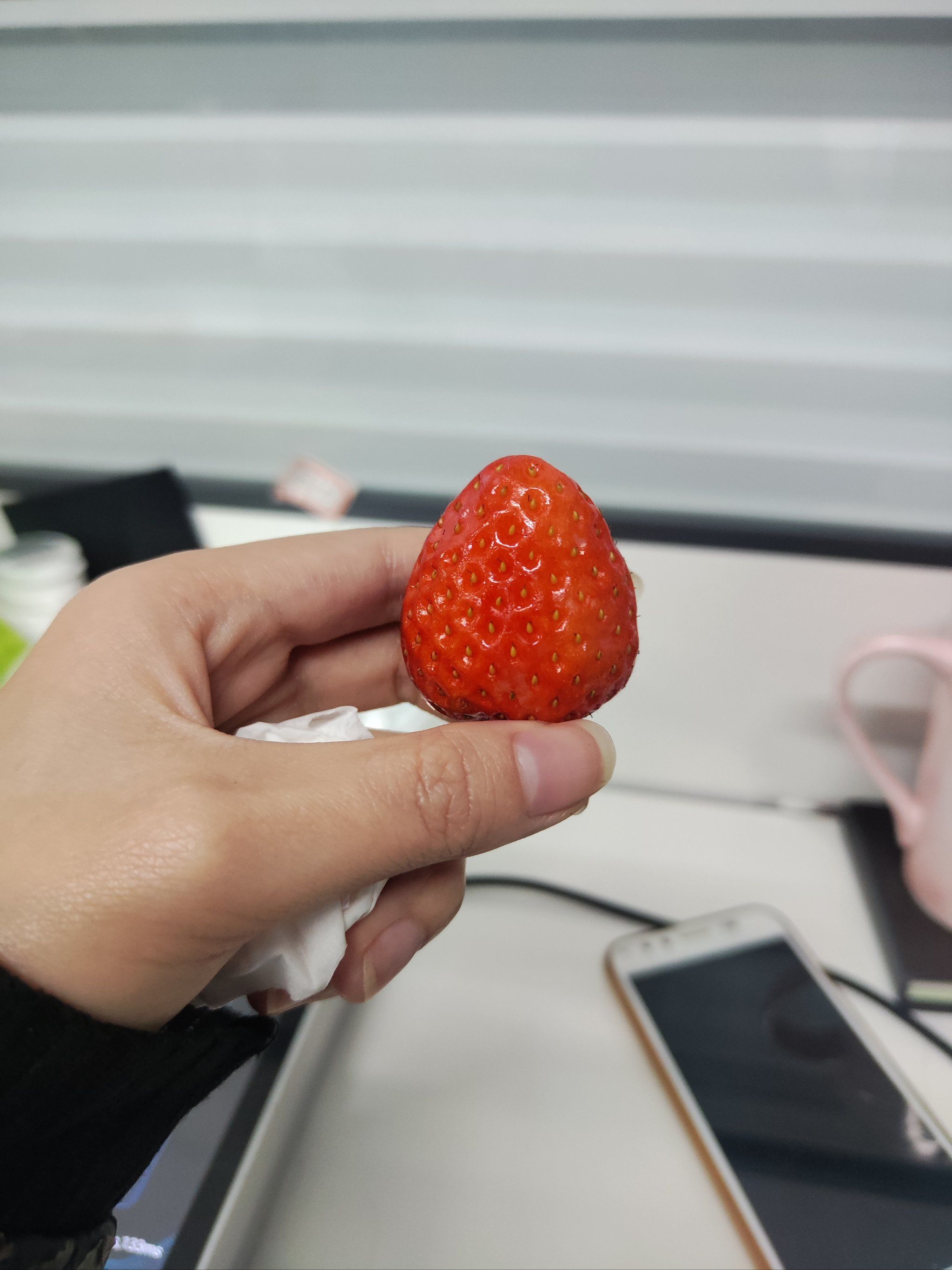 莓心莓肺莓烦恼