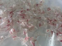 -八仔大富楼·河鲜(西江店)