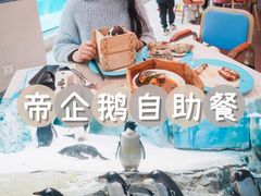-帝企鹅自助餐厅•儿童岛•真企鹅(长隆企鹅酒店)