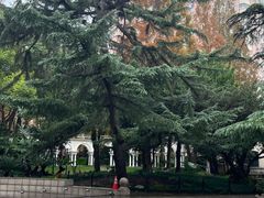 -上海安亭别墅花园酒店