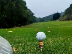 -南沙高尔夫球会