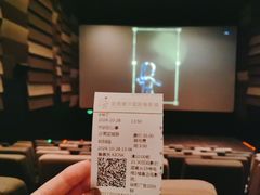 -武商摩尔影城(国广IMAX激光店)