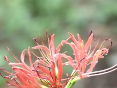 -南京市江宁方山