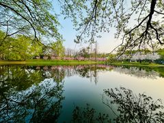 -上海共青森林公园