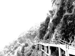 -少华山国家森林公园