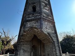 -上海佘山国家森林公园天马山园