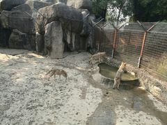 -南昌动物园
