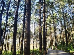 -白草畔自然风景区