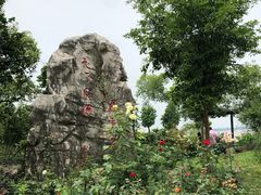 -鹅湖玫瑰文化园