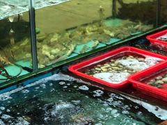 -景好海鲜餐厅(大鹏必选旅游店)