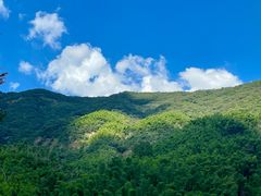 -芦茨金富饭庄·25年老字号·专做稻草鸡