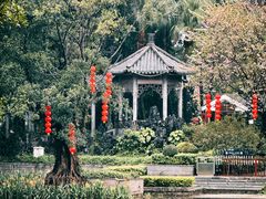 -荔湾湖公园