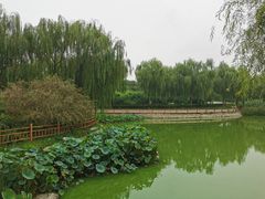 -燕郊植物园