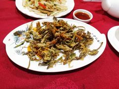 香椿趣脆-佛有缘·32年老字号(广州首店)