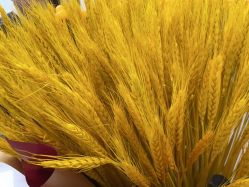 -深圳广和门诊部·整形医疗美容