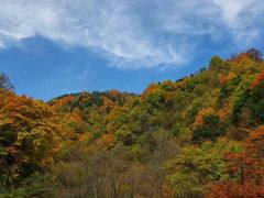 -秦岭风景区