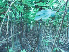 -武汉世外桃源农庄