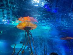 -沈阳海洋探索中心