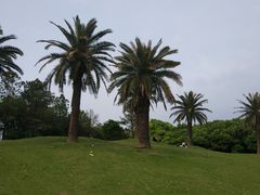 -美兰湖景区