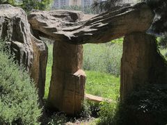 -前关湿地公园