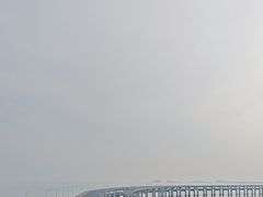 -星海湾跨海大桥