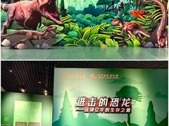 -珠海市博物馆