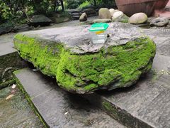 -成都市活水公园