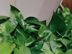 -莱蔻·圣灸堂·推拿艾灸(天山店)