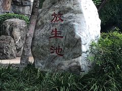 -莲湖公园