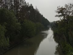 -上海长兴岛郊野公园