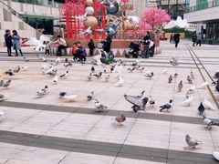 -星巴克(深圳世纪汇分店)