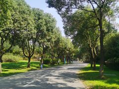 -贡湖湾湿地公园
