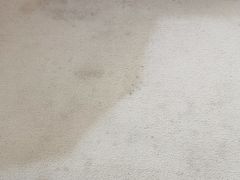 -山水宾馆(深圳福田区会展中心店)