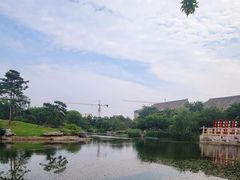 -花雕醉鸡(北大街义勇街店)
