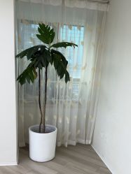 -HEYAN荷妍专业脱毛连锁机构
