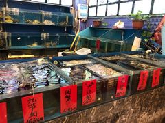 水产区-峰少印宴·私房菜·生猛海鲜·地道水乡菜(万江店)