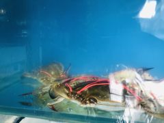 -明海妈妈菜(大连外国语学院店)