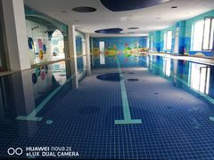 -小泳士游泳训练基地(芥园西道店)