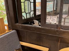 -猫的天空之城概念书店(杭州南宋御街店)