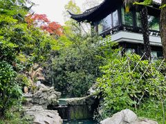 -盆景园(扬州大运河文化旅游度假区)