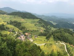 -紫鹊界梯田景区