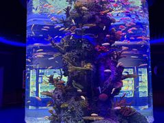 -石家庄极地海洋世界