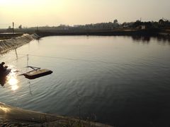 -北海金海湾红树林生态旅游区