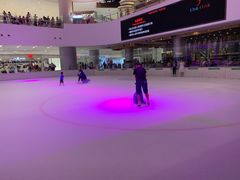 -TheRink大零溜冰场(IFS国金中心店)