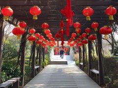 -白马涧龙池景区