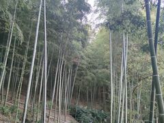 -天目湖涵田度假村