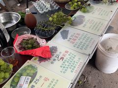 -马陆小张葡萄园农家乐